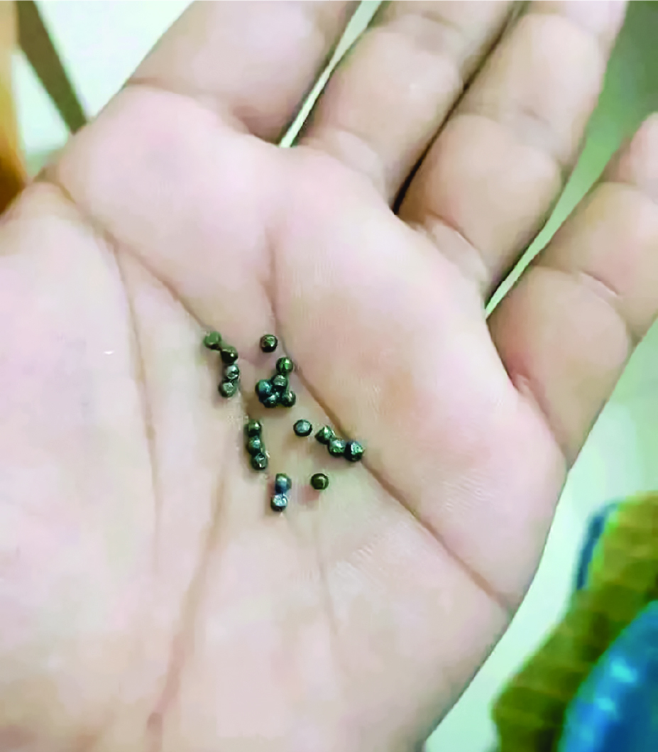 Image of মো: রবিউল ইসলাম রাহুল